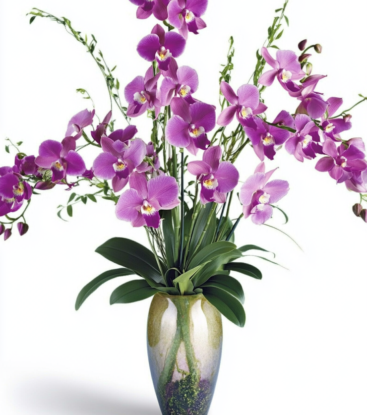 Orchid Medley