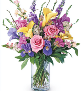 Vibrant Flowers