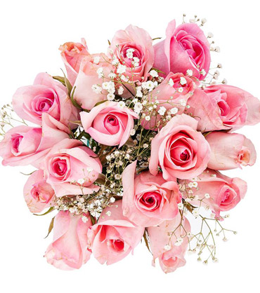 18 pink w baby breath