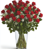 4 dozen Roses