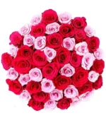 50-stem Hot Pink & Light Pink Roses