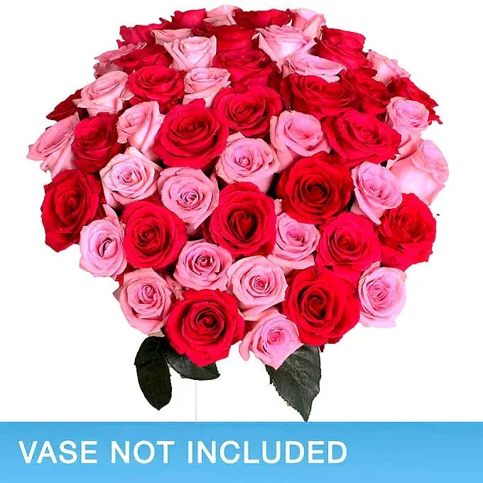50-stem Hot Pink & Light Pink Roses