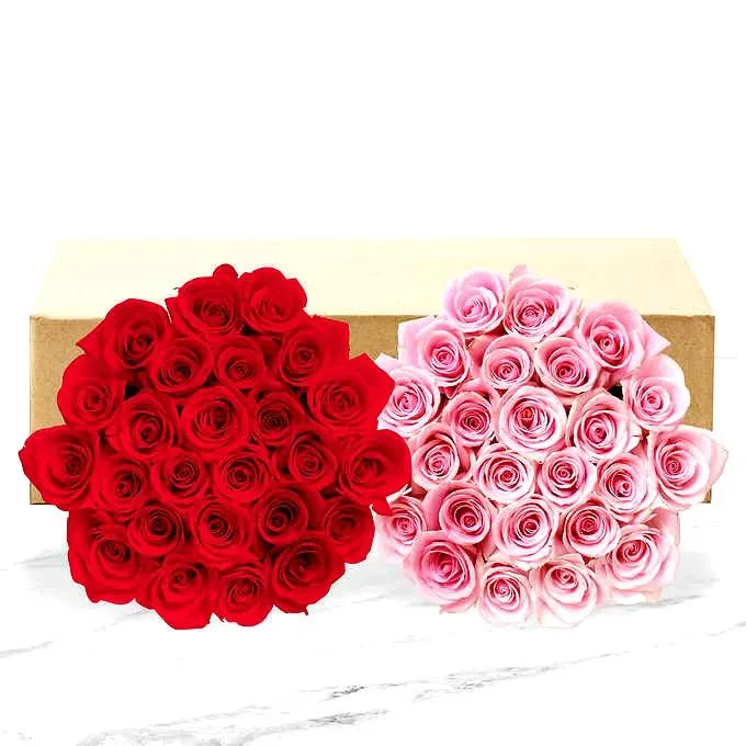 50-stem Hot Pink & Light Pink Roses