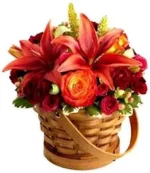 Burgundy Blooms