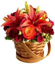 Burgundy Blooms