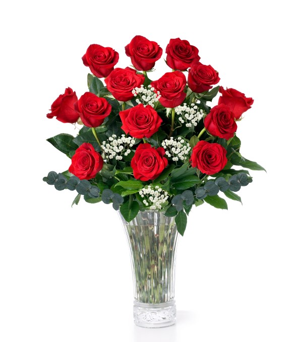 Dozen Long Stem Red Roses