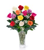 Dozen Long Stem Mixed Roses