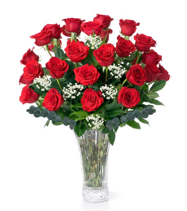 2 Dozen Long Stem Red Roses