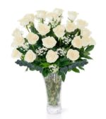 2 Dozen White Roses Long Stem