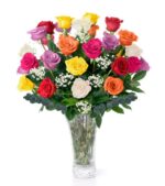2 Dozen Long Stem Mix Roses