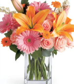 Brilliant Blooms