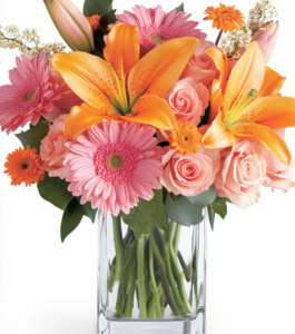 Brilliant Blooms