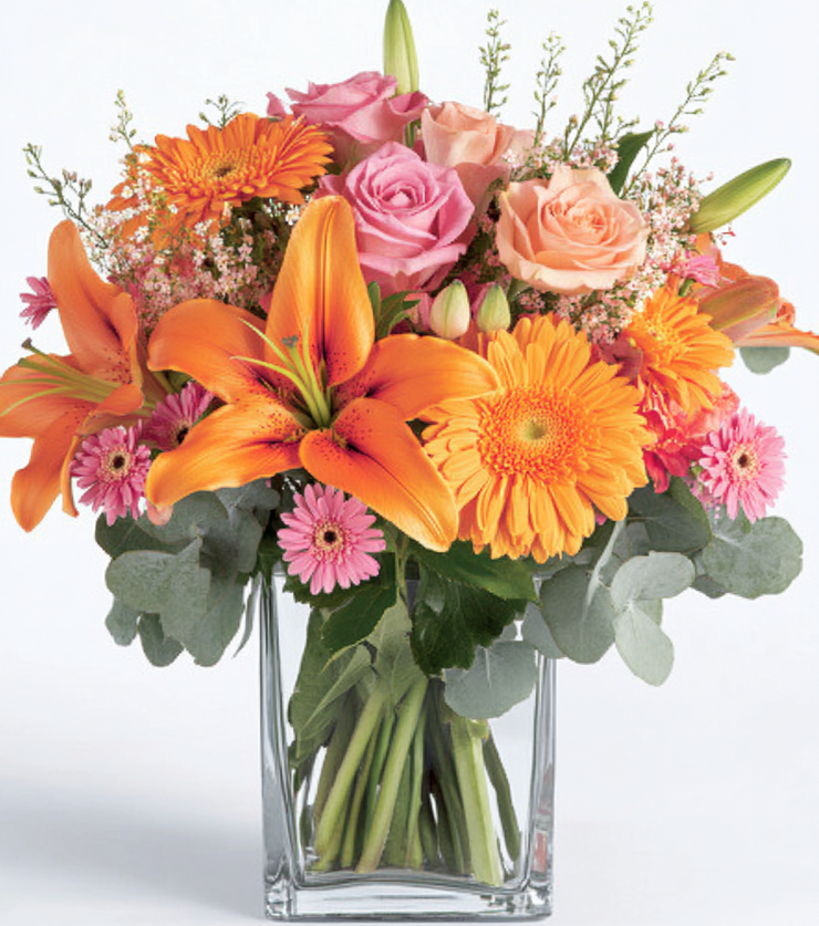 Brilliant Blooms