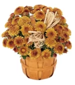 Bronze Mum Bushel Basket