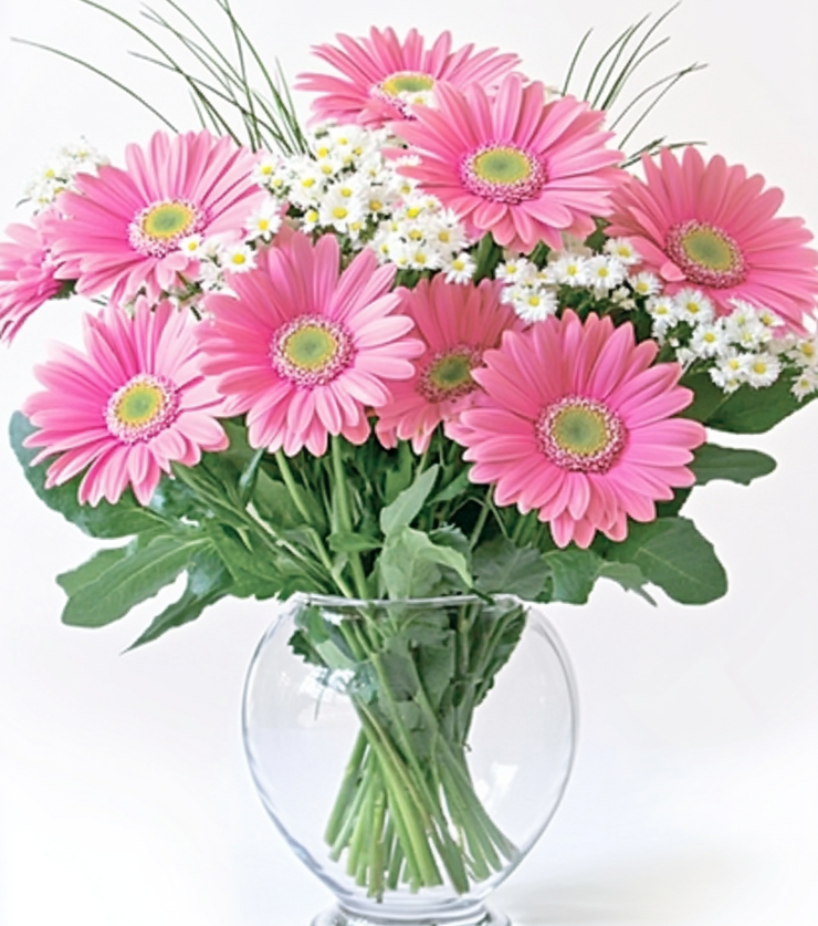 Elegant Flowers