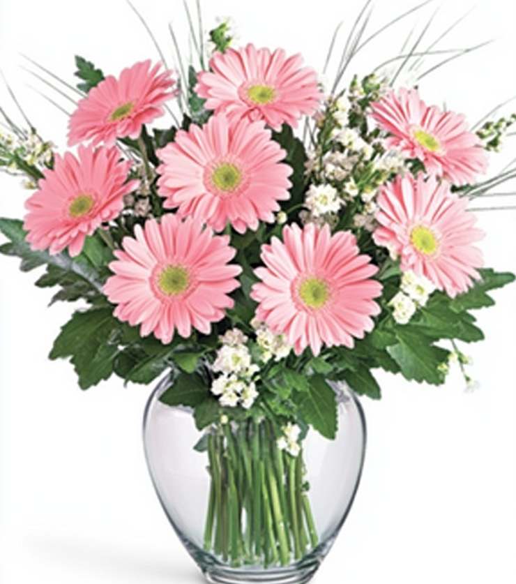 Elegant Flowers