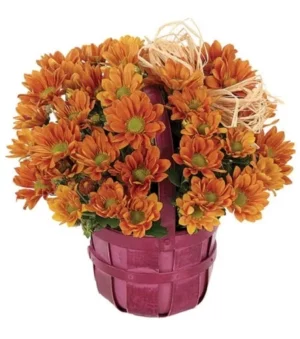 Fall Daisy Bushel Basket