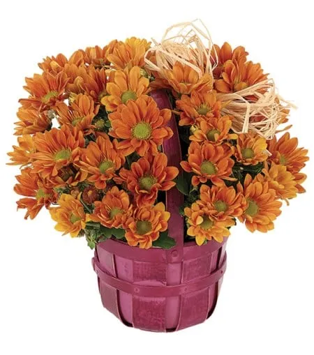 Fall Daisy Bushel Basket
