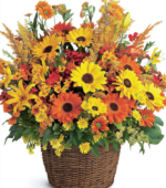 Fall Fiesta