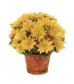 Fresh Harvest Bouquet