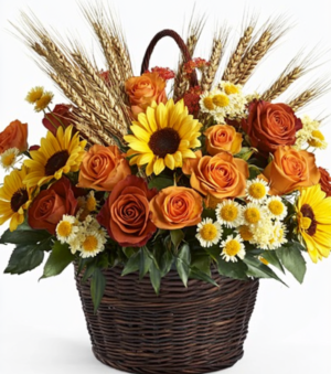 Harvest Celebration