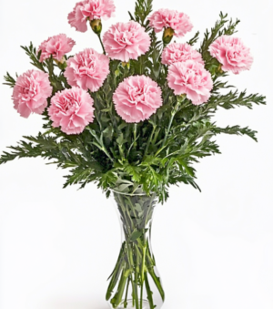 Lovely Pink Carnations