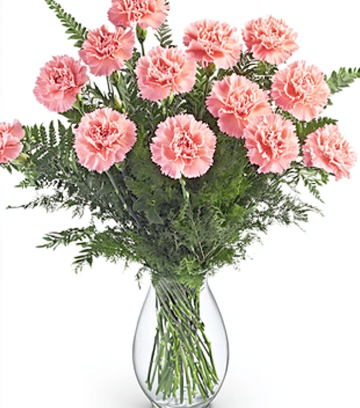 Lovely Pink Carnations