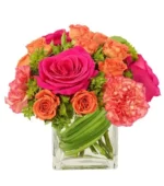 Magnificent Blooms Cube