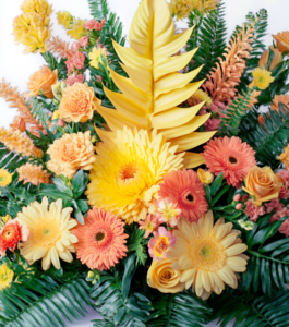 Multi Colored Flowers