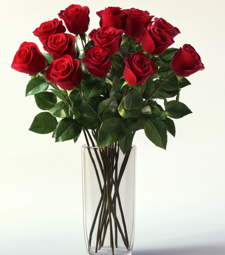 One Dozen Red Roses