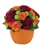 Pumpkin Surprise