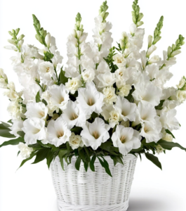 Pure Zen Sympathy Basket