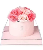 Rose Round Pink Van Gogh and Baby Pink