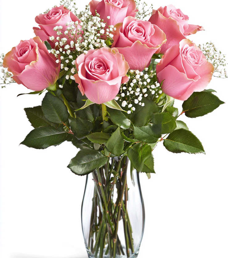 Six Lovely Pink Roses