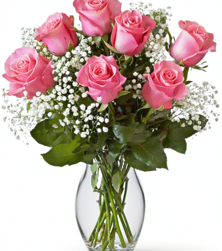 Six Lovely Pink Roses