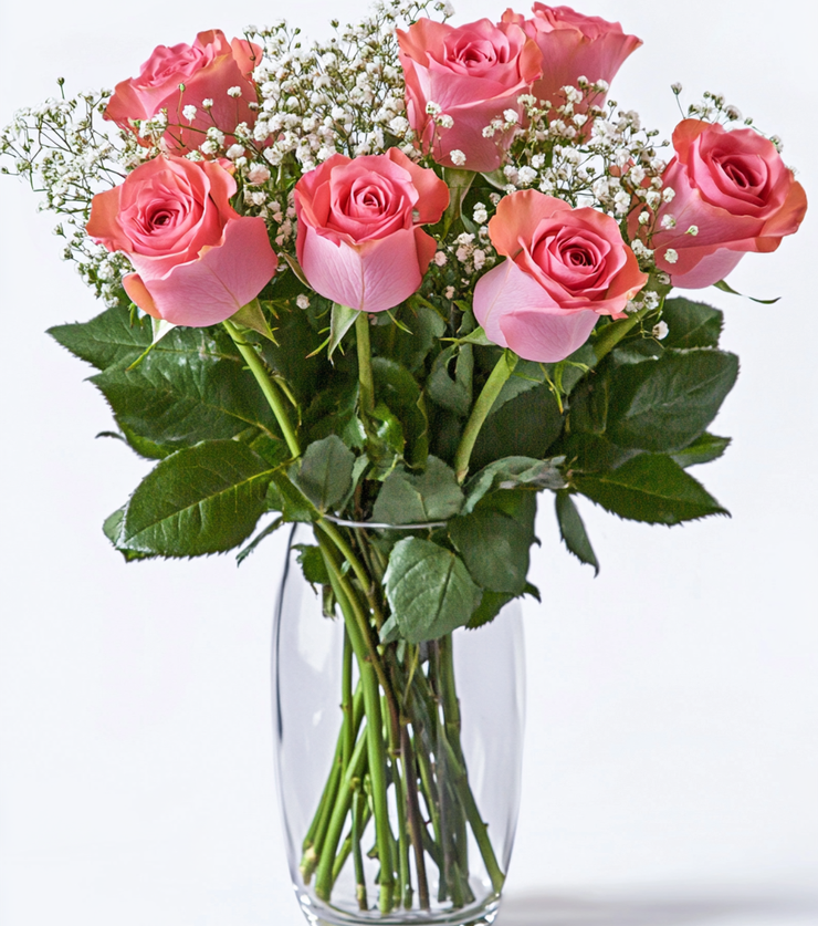 Six Lovely Pink Roses