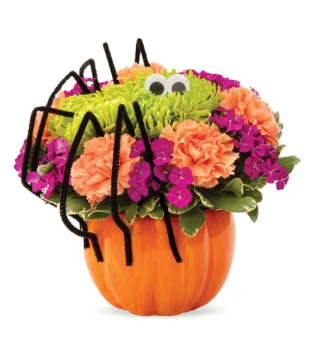Spooky Spider Pumpkin