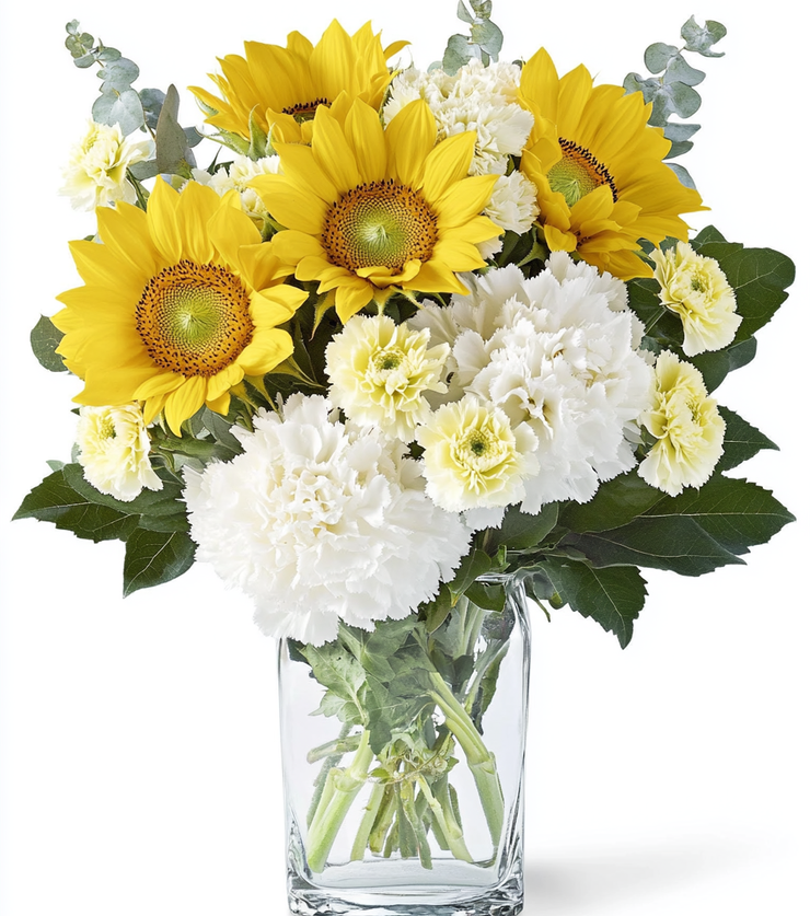 Sunflower Radiance