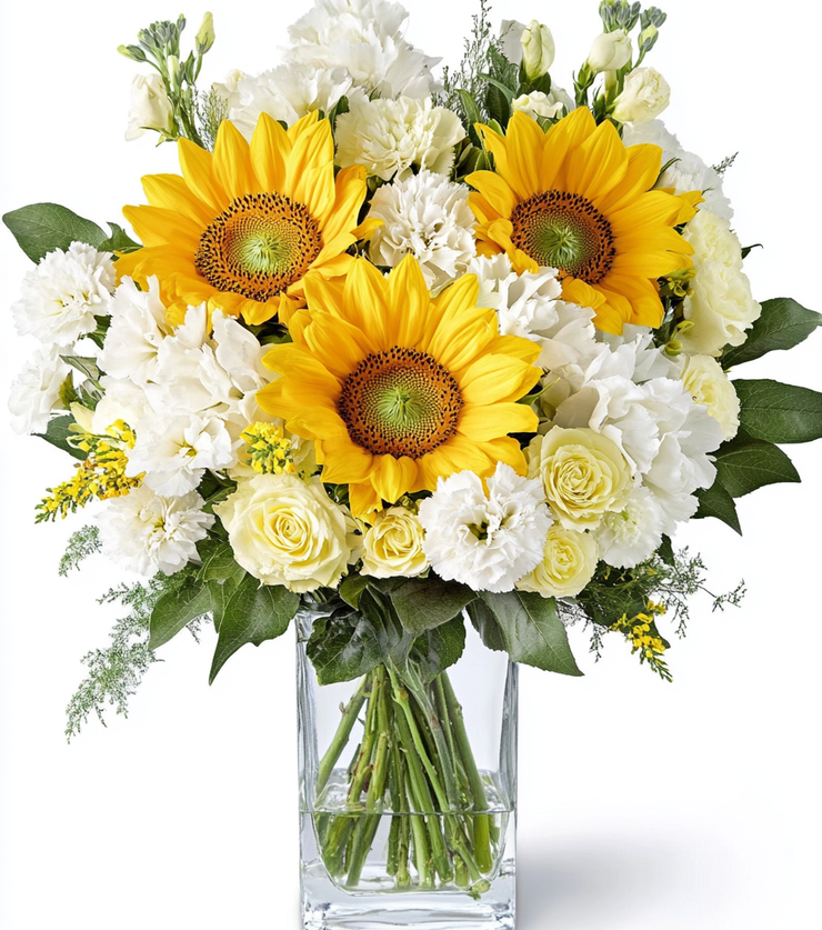 Sunflower Radiance