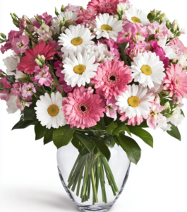 The Classic Blossoms