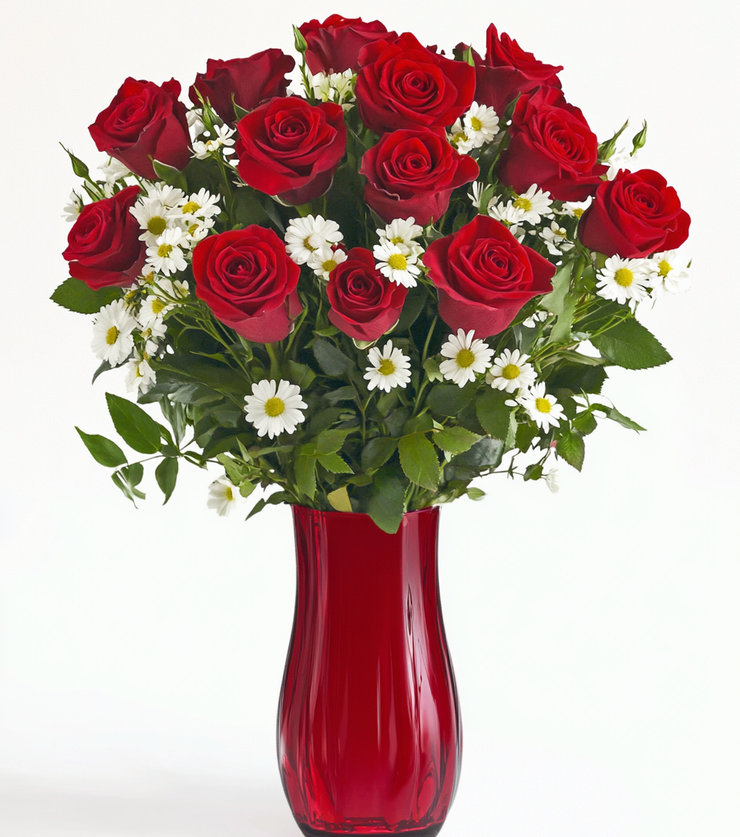 Velvety Red Roses