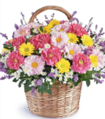 Vibrant Flowers