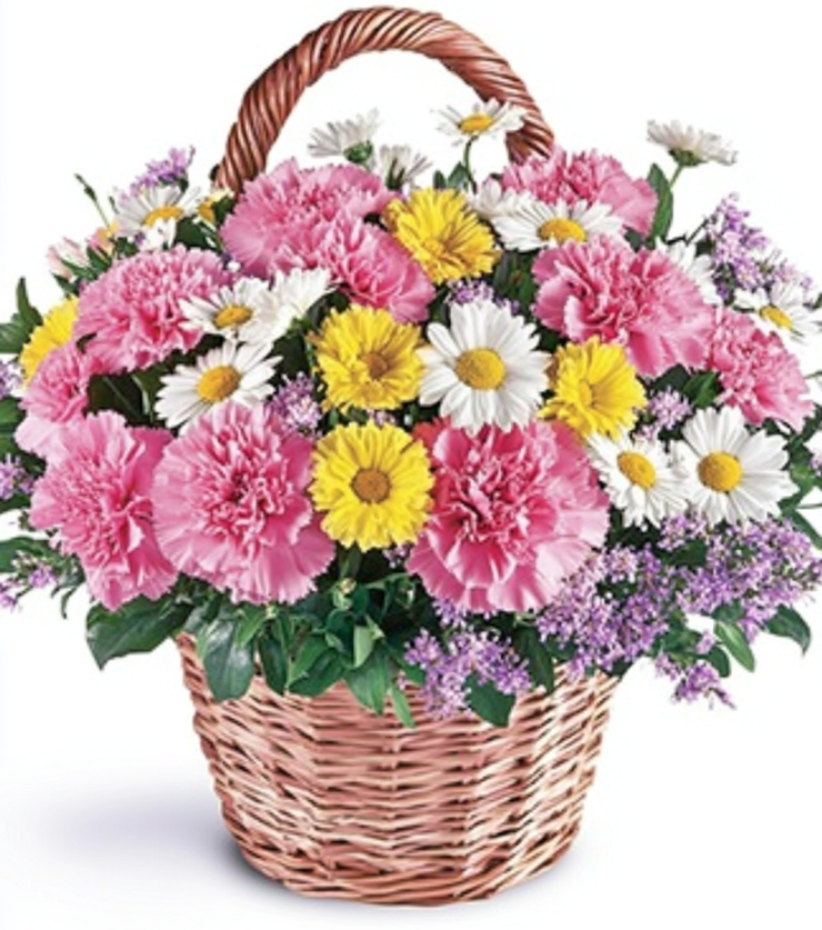 Vibrant Flowers