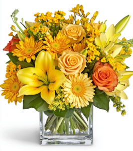 Brilliant Blooms