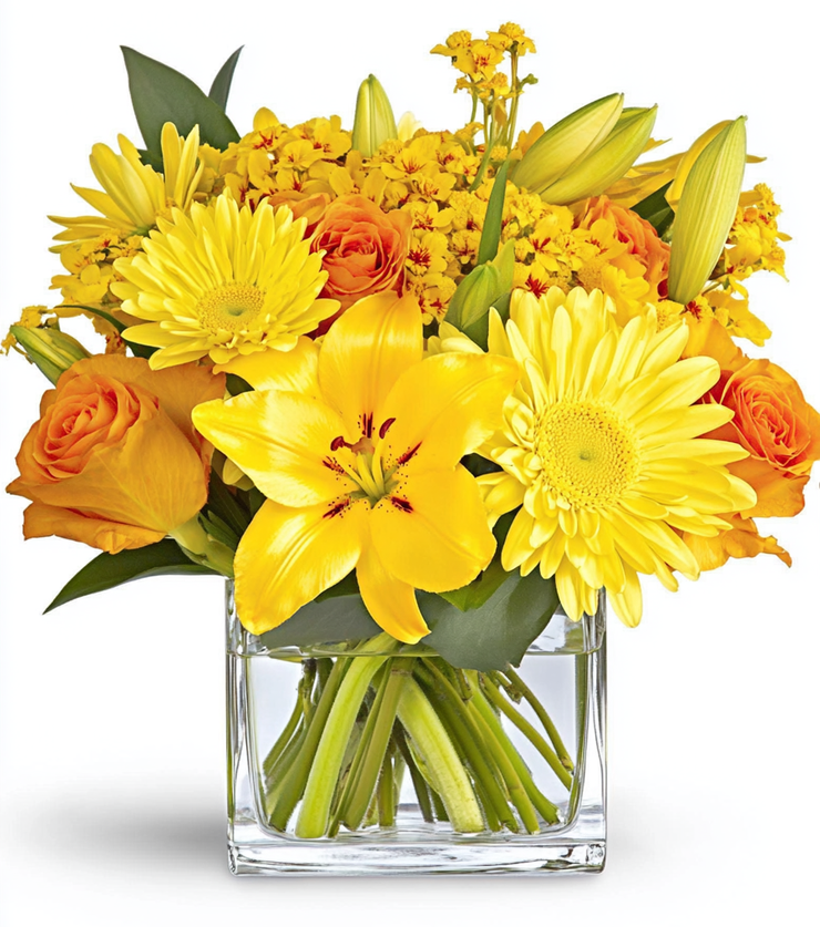 Brilliant Blooms