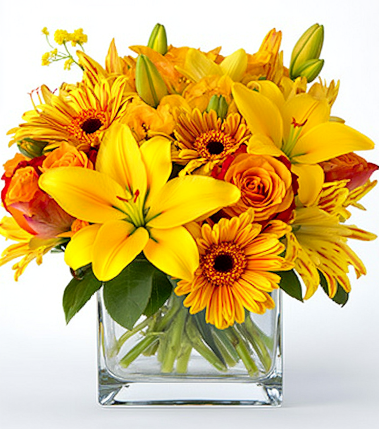 Brilliant Blooms