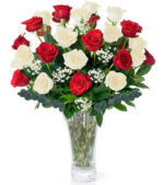 24 Christmas Roses