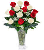 Dozen Christmas Roses