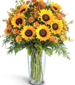 Exquisite Sunflowers
