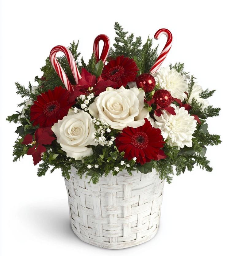 Red and White Basket